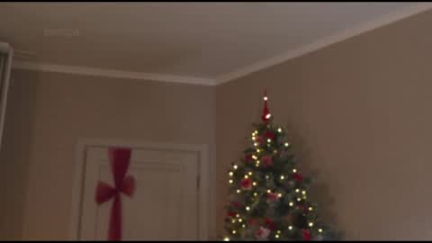 Snapshot of kottyaa_ch chatting on January 30, 2025, 10:19 pm Kottyaa cb FOLLOWING online show from January 30, 2025, 10:19 pm