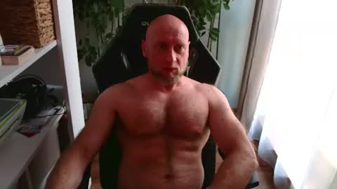 Kotylion online show from July 17, 2026, 3:39 pm
