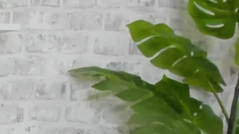 Snapshot of kristinesmith chatting on December 15, 2024, 9:45 am Kristi online show from December 15, 2024, 9:45 am