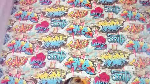 Krys online show from November 27, 2025, 12:56 am