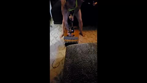 Snapshot of krystltymeup chatting on March 11, 2026, 11:00 pm krystltymeup online show from March 11, 2026, 11:00 pm