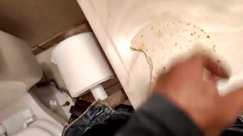 Snapshot of kumnnkevsuks4 chatting on January 16, 2025, 8:14 pm kumnnkevsuks4 online show from January 16, 2025, 8:14 pm