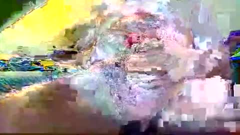 kumtimer online show from June 8, 2026, 2:45 am