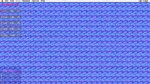 Snapshot of kuntboyzworld chatting on July 25, 2026, 7:00 pm Krypto hethey online show from July 25, 2026, 7:00 pm