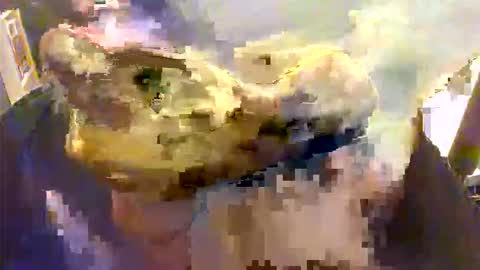 Snapshot of l0ngjohnsilv3er chatting on November 26, 2025, 7:15 pm l0ngjohnsilv3er online show from November 26, 2025, 7:15 pm