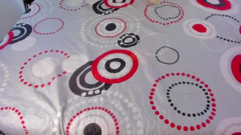 Snapshot of ladahear_ chatting on May 8, 2026, 3:06 pm Akyra online show from May 8, 2026, 3:06 pm