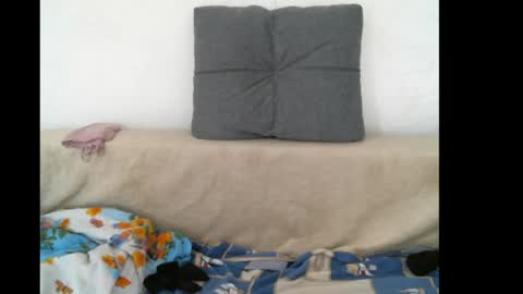 Snapshot of lady_cute_cat chatting on May 16, 2026, 10:36 am lady cute cat29 online show from May 16, 2026, 10:36 am