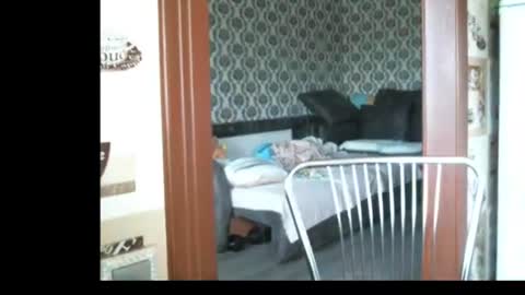 Snapshot of lady_cute_cat chatting on June 23, 2026, 2:53 am lady cute cat29 online show from June 23, 2026, 2:53 am