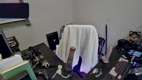 ladymeep online show from February 4, 2026, 11:20 pm