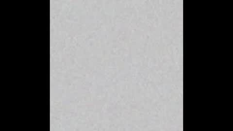  paola and a guest lol    online show from February 18, 2025, 8:49 am