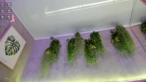 Snapshot of lana_lann chatting on February 27, 2025, 1:38 pm lana_lann online show from February 27, 2025, 1:38 pm