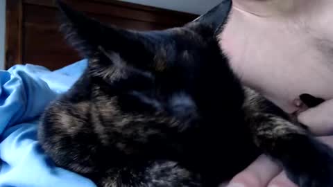 Snapshot of lancehardin chatting on December 16, 2025, 4:12 pm Lance online show from December 16, 2025, 4:12 pm