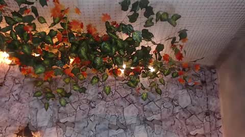 Snapshot of lancelot_benwick chatting on January 7, 2025, 1:38 am Lancelot Benwick online show from January 7, 2025, 1:38 am