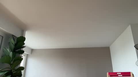 Snapshot of lanimalr chatting on October 3, 2025, 8:00 am Lanimal online show from October 3, 2025, 8:00 am