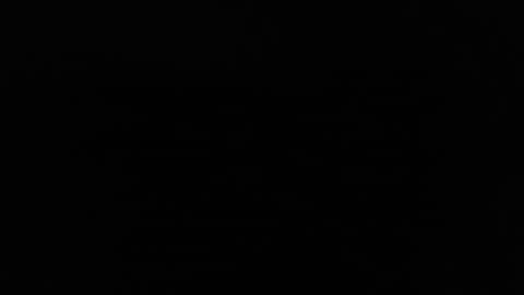 larry77733217 online show from February 4, 2025, 2:39 am