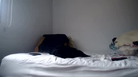 Snapshot of latinndexter chatting on February 24, 2025, 8:58 pm DEXTER online show from February 24, 2025, 8:58 pm