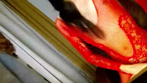 Snapshot of latrina_ chatting on March 5, 2026, 3:08 pm latrina_ online show from March 5, 2026, 3:08 pm