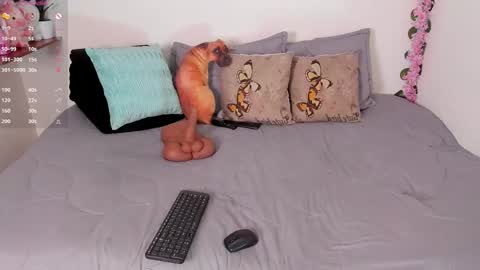 laura1__ online show from December 15, 2025, 11:31 pm