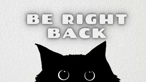 lauren_stone_ online show from February 21, 2026, 11:55 am