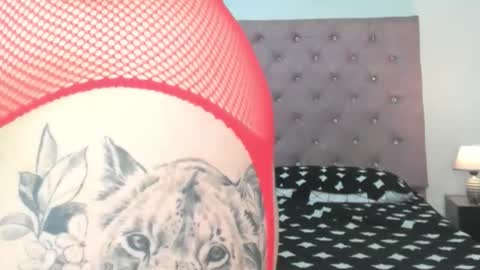 Snapshot of laurenlaine99 chatting on May 23, 2026, 3:38 pm laurenlaine online show from May 23, 2026, 3:38 pm
