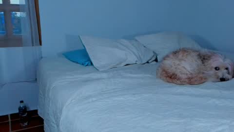 Lucie  online show from February 15, 2025, 10:42 pm