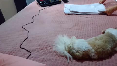 kelly online show from February 1, 2025, 7:23 pm