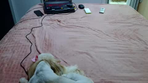 kelly online show from February 4, 2025, 11:27 pm