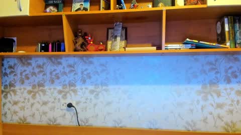 Snapshot of lazaret1k chatting on December 29, 2024, 9:17 am Vladi online show from December 29, 2024, 9:17 am