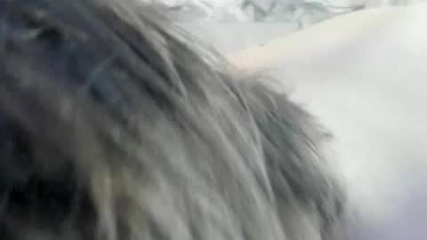 Alex online show from June 16, 2026, 8:22 pm