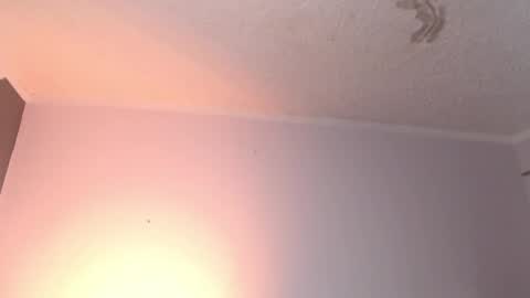 leabigboobs online show from February 3, 2025, 3:49 pm