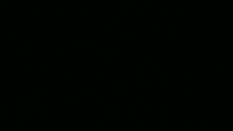 Snapshot of leeguy_hugedick chatting on June 13, 2026, 8:12 am Ebony DeafGuy online show from June 13, 2026, 8:12 am