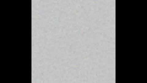 leejhonsonnn online show from October 22, 2025, 12:05 pm