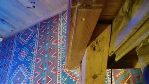 Snapshot of lefrancais33000 chatting on December 23, 2024, 5:43 pm Dliciousman online show from December 23, 2024, 5:43 pm