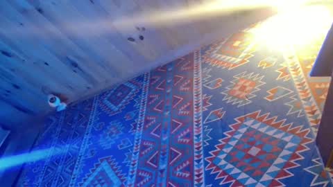 Snapshot of lefrancais33000 chatting on February 20, 2025, 10:37 pm Dliciousman online show from February 20, 2025, 10:37 pm