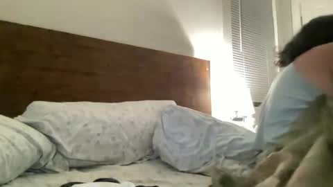 Snapshot of legallybrun91 chatting on June 25, 2026, 9:03 am legallybrun91 online show from June 25, 2026, 9:03 am