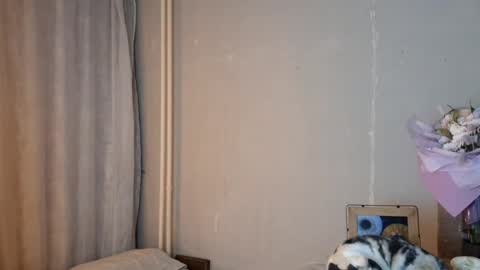 Mia online show from April 24, 2026, 2:30 pm