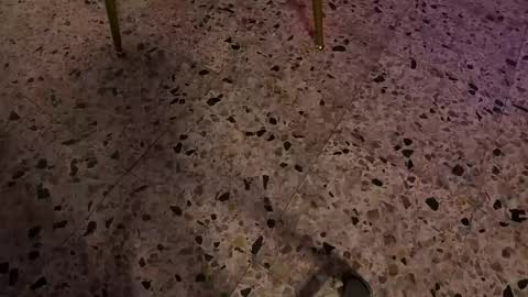 Snapshot of leja_ chatting on May 8, 2026, 6:46 pm Leja online show from May 8, 2026, 6:46 pm