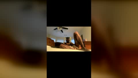 lelesmayone online show from May 25, 2026, 10:54 am