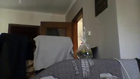 lelshop online show from December 8, 2024, 9:57 am