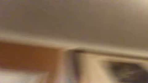 lemmylovesu online show from July 28, 2026, 8:10 am