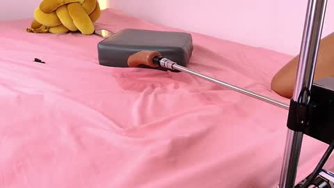 Snapshot of lenaandwilliam chatting on February 5, 2026, 8:13 pm Lenaandwilliam online show from February 5, 2026, 8:13 pm