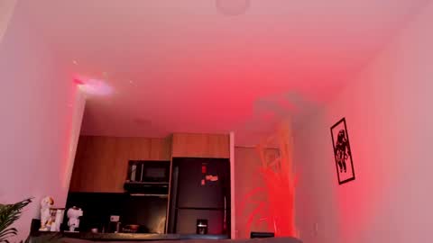 Snapshot of lennercollins_ chatting on February 22, 2025, 1:55 am Lenner INDEPENDENT MODEL online show from February 22, 2025, 1:55 am