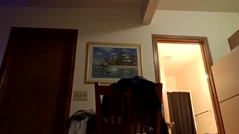 Snapshot of letsplay361 chatting on March 2, 2025, 8:05 am letsplay361 online show from March 2, 2025, 8:05 am