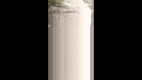 levis501bandant online show from January 15, 2026, 2:38 am