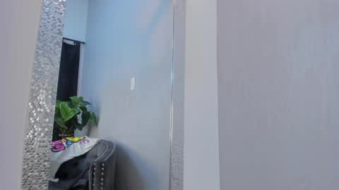 Snapshot of levy_steve chatting on January 26, 2025, 12:01 pm LevySteven online show from January 26, 2025, 12:01 pm