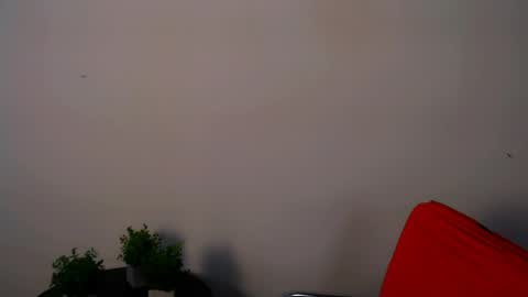 Snapshot of lexi_jos chatting on May 15, 2026, 11:17 am Alexia online show from May 15, 2026, 11:17 am