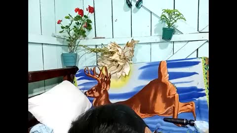 Snapshot of lia_hottie chatting on September 13, 2025, 9:25 pm Lia online show from September 13, 2025, 9:25 pm