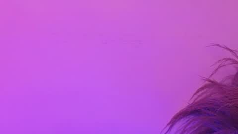 Snapshot of liabell_ chatting on June 30, 2026, 7:15 pm Lia Bell online show from June 30, 2026, 7:15 pm