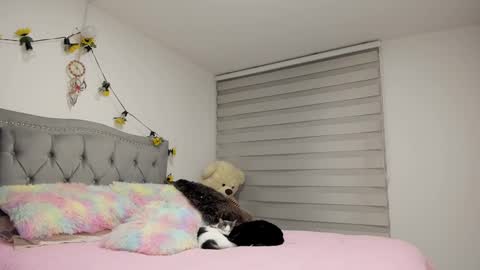 Snapshot of liahkimi chatting on March 10, 2025, 11:27 pm Lia online show from March 10, 2025, 11:27 pm