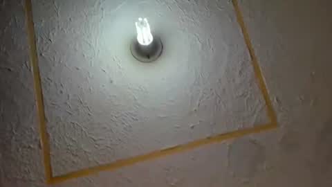 Snapshot of lianfox_ chatting on July 11, 2026, 12:30 pm lianfox_ online show from July 11, 2026, 12:30 pm